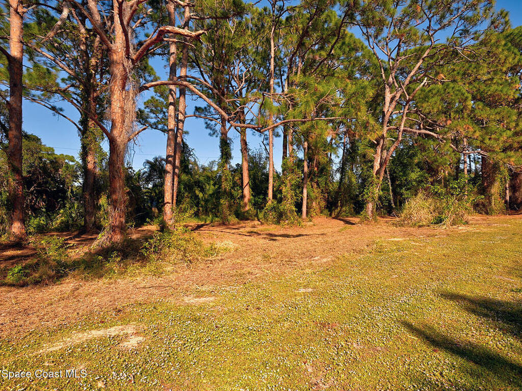 264 Serenity Point Lane, Merritt Island, FL 32952