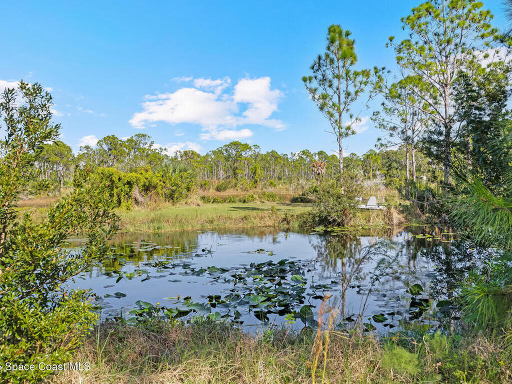 6885 Orchid Tree Drive, Grant, FL 32949