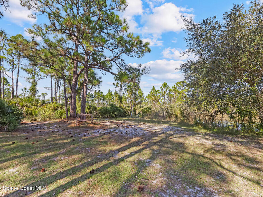 6885 Orchid Tree Drive, Grant, FL 32949
