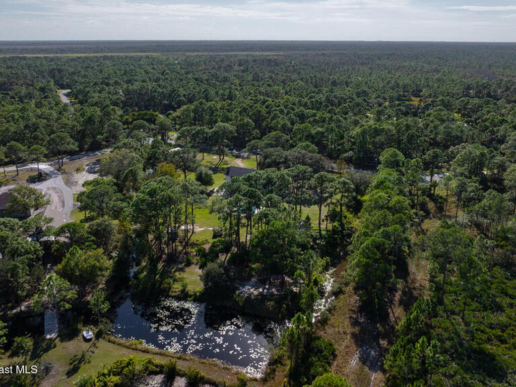 6885 Orchid Tree Drive, Grant, FL 32949