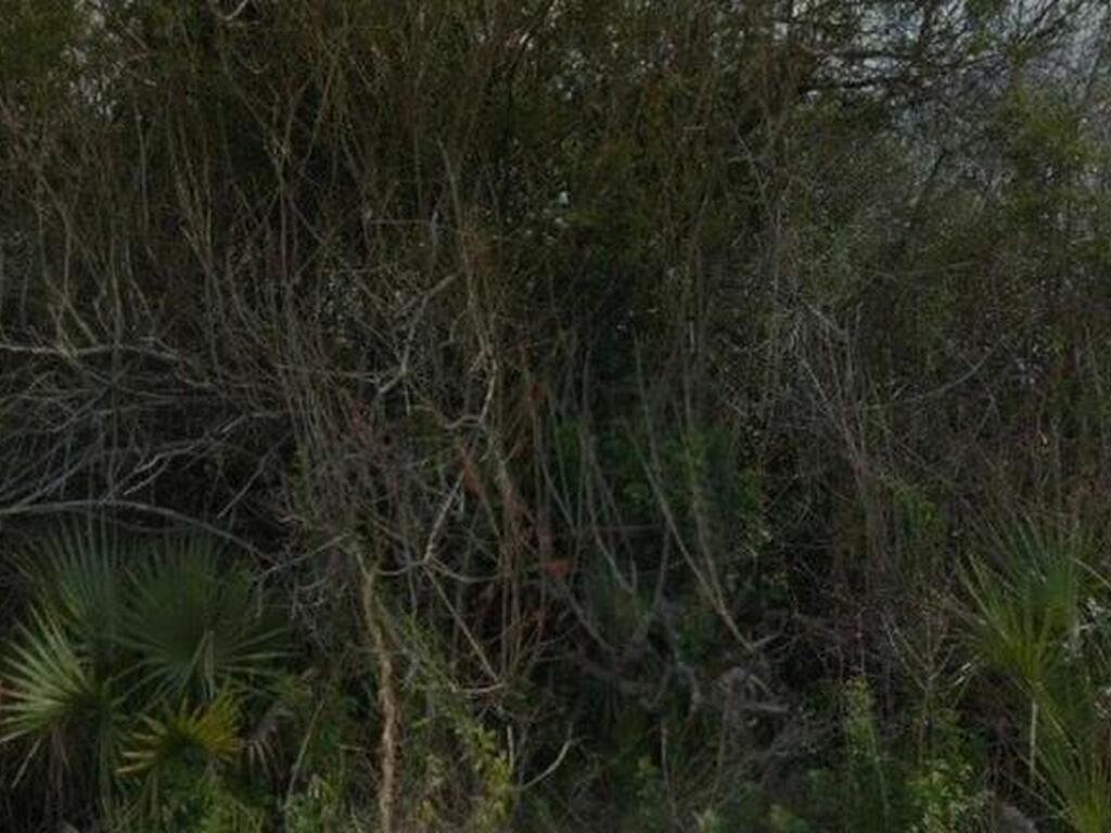 765 Pinta Terrace, Palm Bay, FL 32908