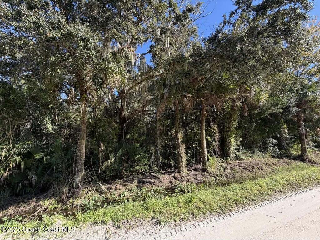 0000 Hammock Road, Mims, FL 32754
