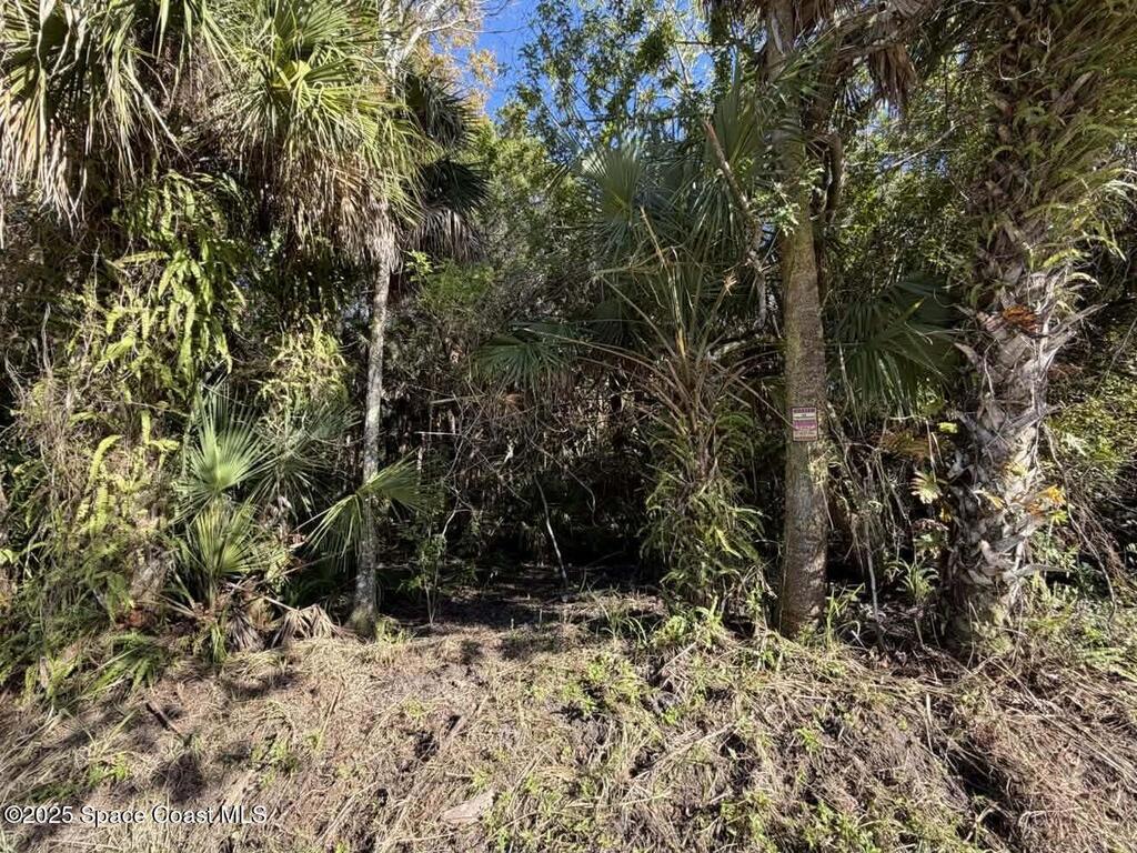 0000 Hammock Road, Mims, FL 32754