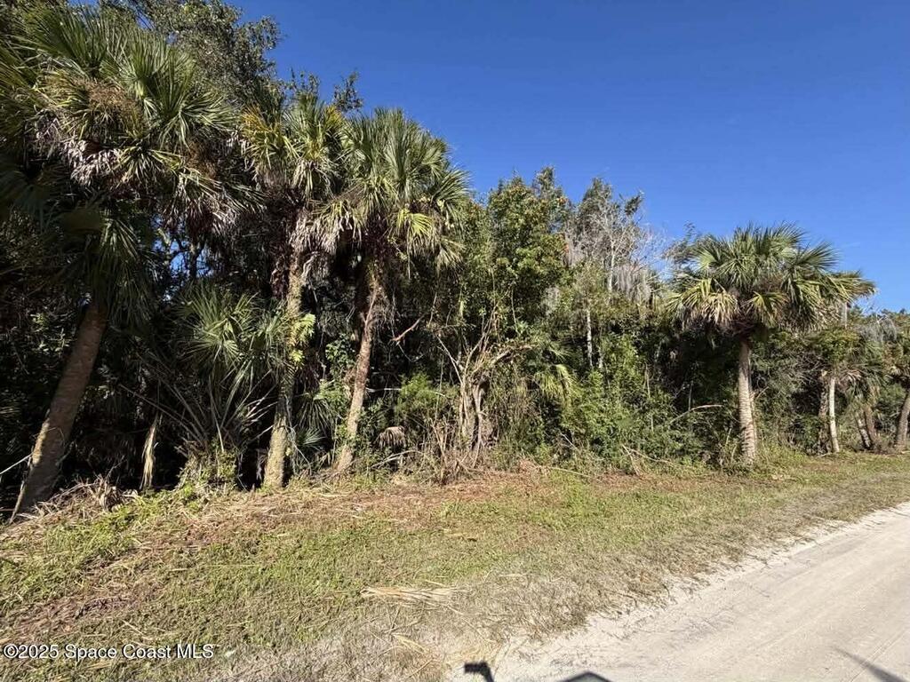 0000 Hammock Road, Mims, FL 32754