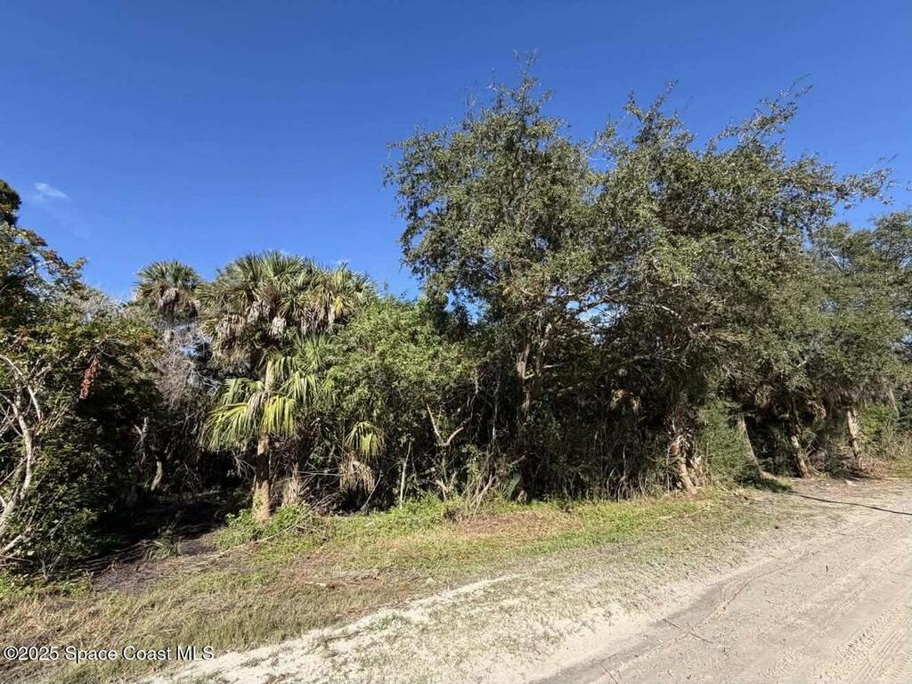 0000 Hammock Road, Mims, FL 32754