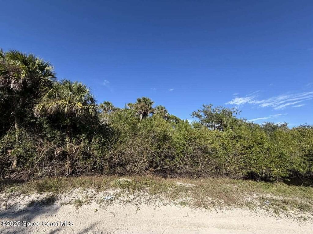 0000 Hammock Road, Mims, FL 32754