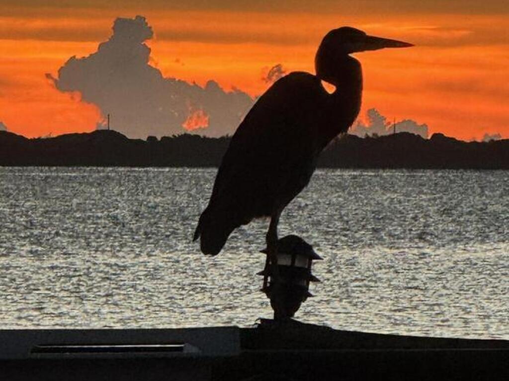 5011 Dixie Highway Highway, Palm Bay, FL 32905