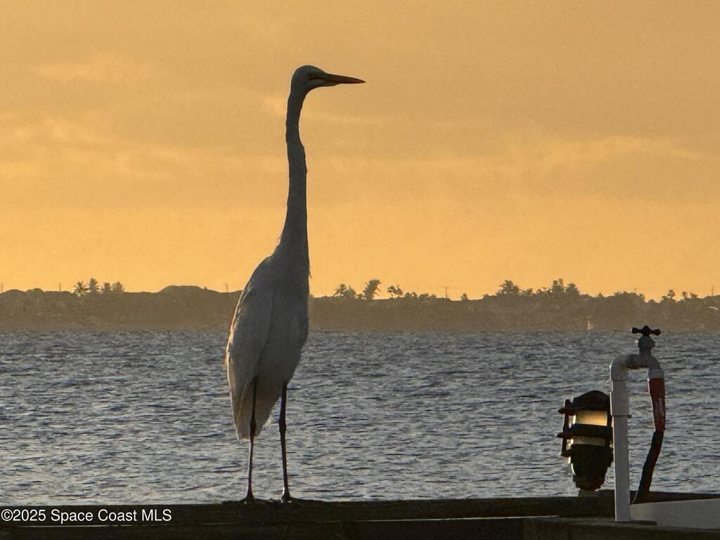 5011 Dixie Highway Highway, Palm Bay, FL 32905