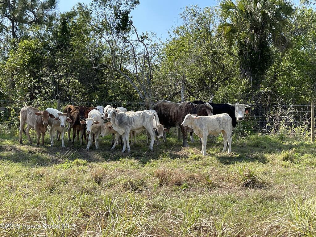 2105 86 Avenue, Vero Beach, FL 32968