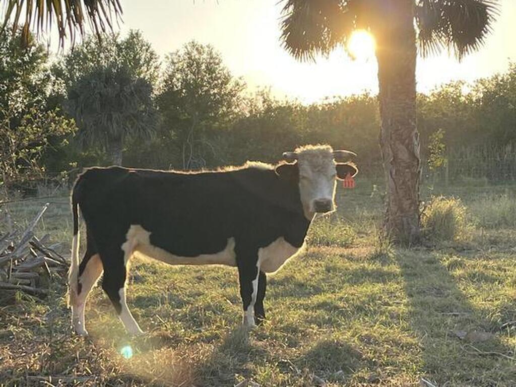 2105 86 Avenue, Vero Beach, FL 32968