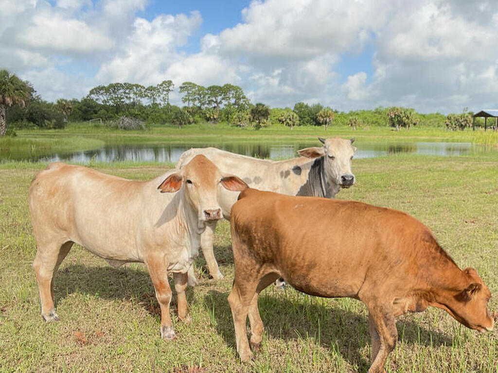 2105 86 Avenue, Vero Beach, FL 32968