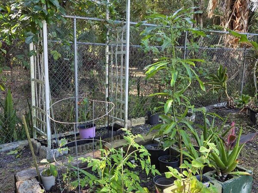 2437 Oakcrest Lane, West Melbourne, FL 32904