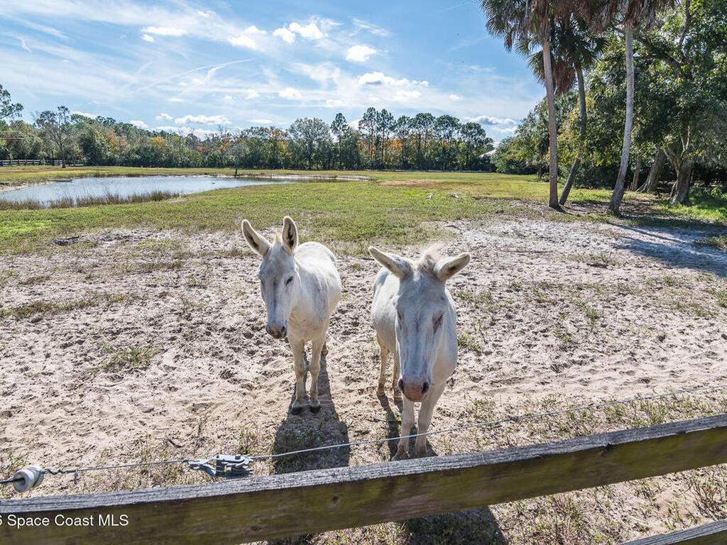 5101 Craig Road, Cocoa, FL 32926