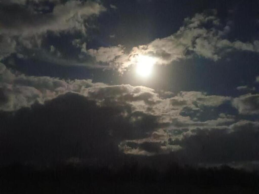 10152 S Ocean Drive, Jensen Beach, FL 34957