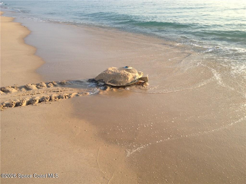 9255 Highway A1A, Melbourne Beach, FL 32951