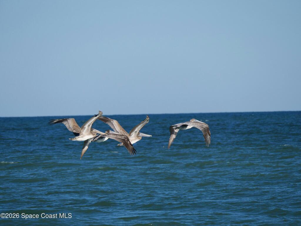 2880 S Atlantic Avenue, Cocoa Beach, FL 32931