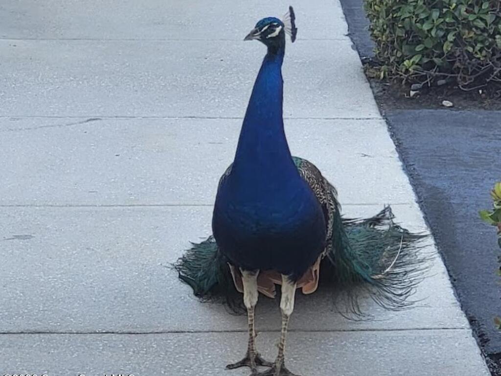 634 Seaport Boulevard, Cape Canaveral, FL 32920