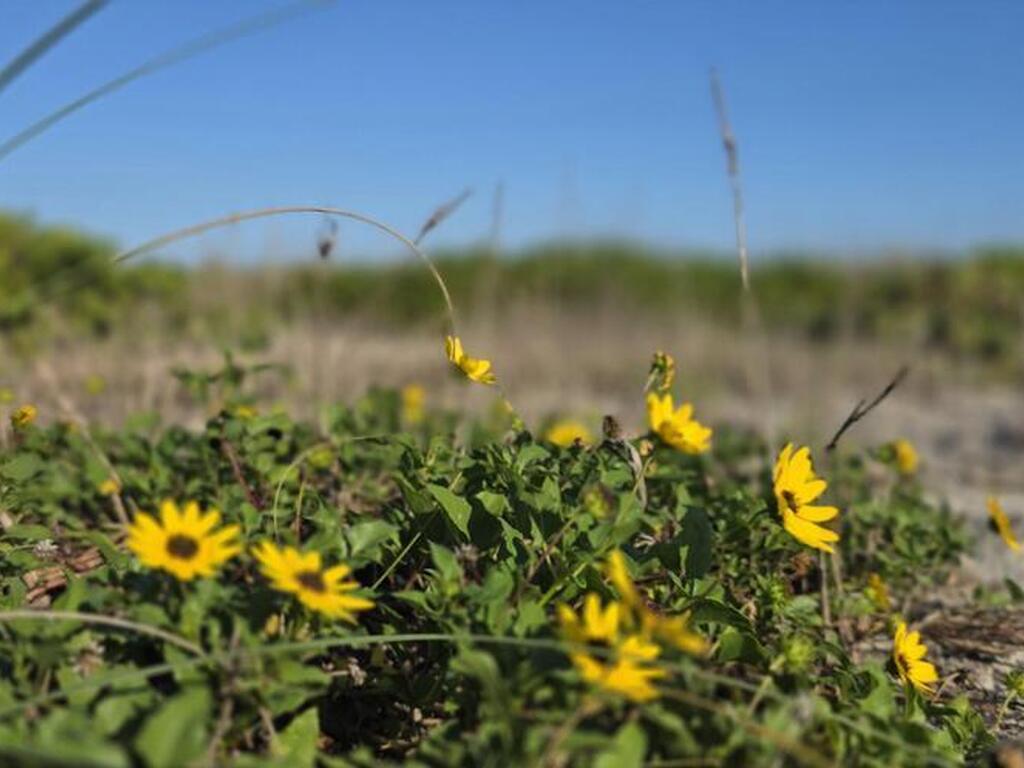 3223 S Atlantic Avenue, Cocoa Beach, FL 32931