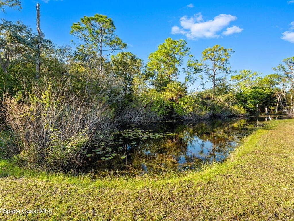 1325 Chase Hammock Road, Merritt Island, FL 32953