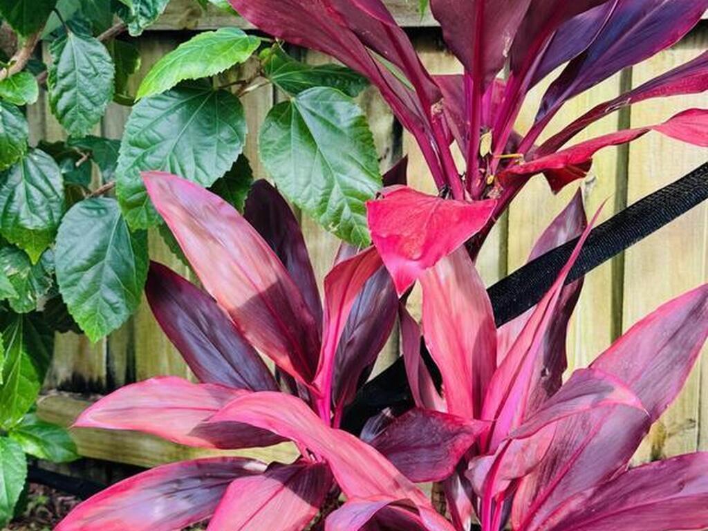 4618 Katy Drive, New Smyrna Beach, FL 32169