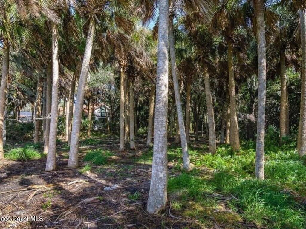 2940 Maritime Lane, Merritt Island, FL 32953