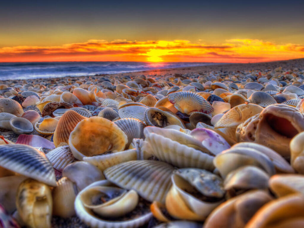 2953 S Highway A1a, Melbourne Beach, FL 32951