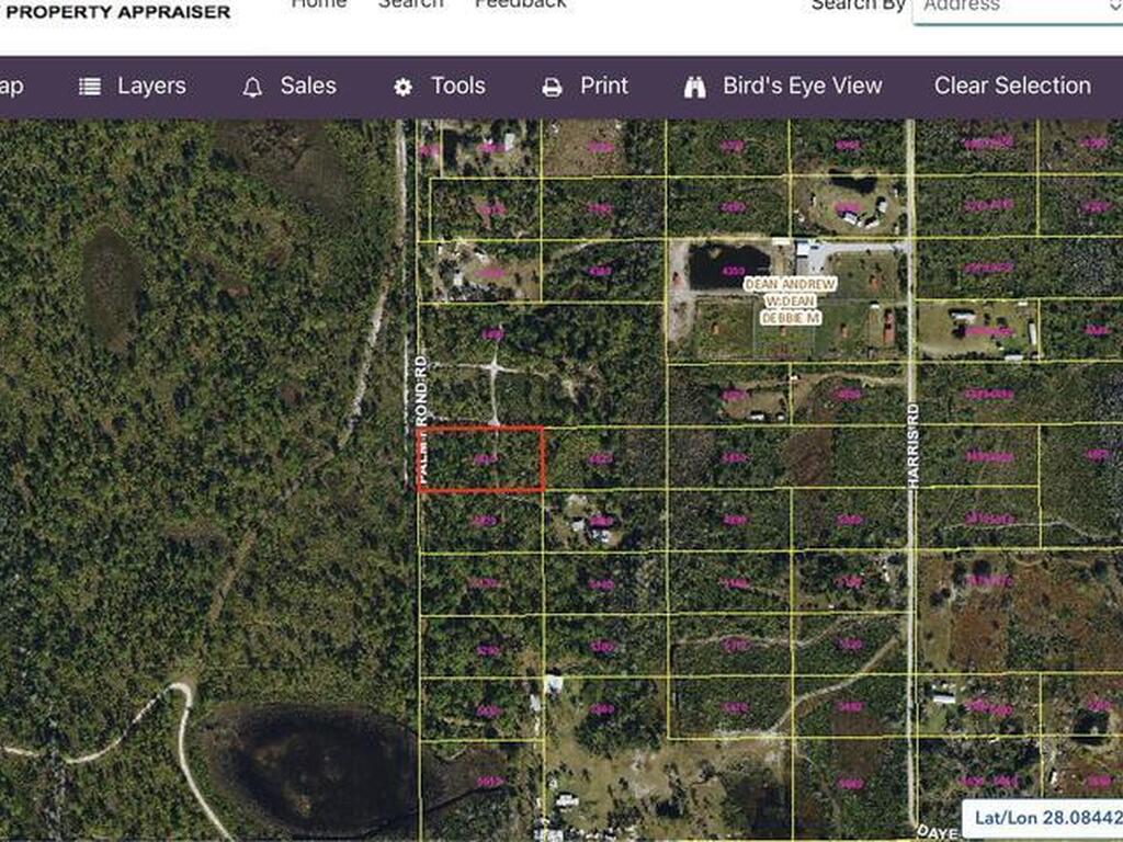 Palm Frond Road, St. Cloud, FL 34773