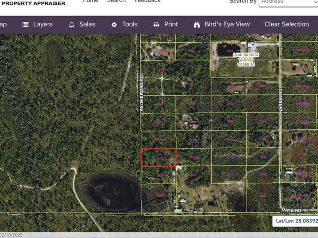 Palm Frond Road, St. Cloud, FL 34773