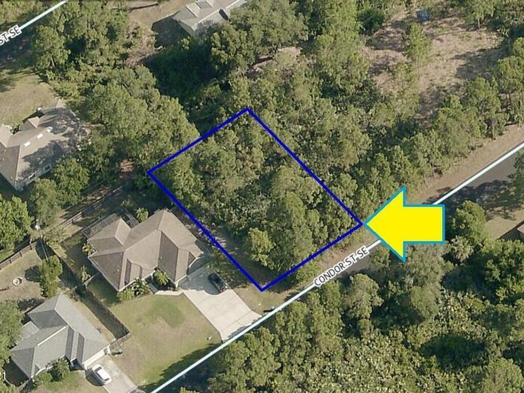 1131 Condor Street, Palm Bay, FL 32909