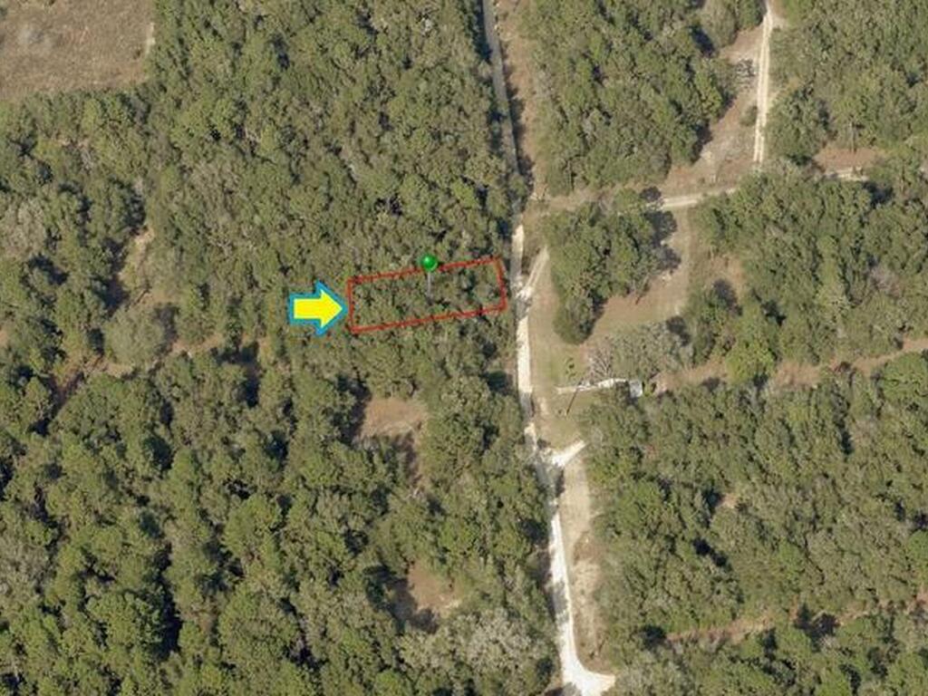 915 Parkview Avenue, Inverness, FL