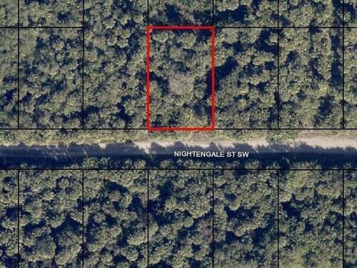 847 Nightengale Street