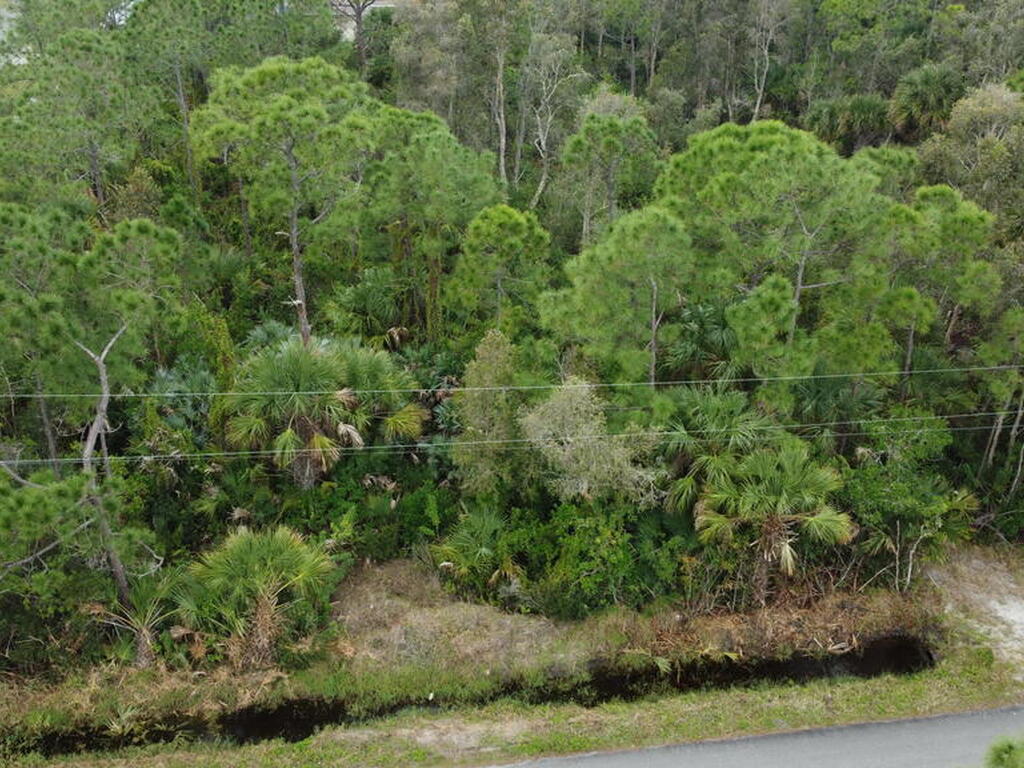 2480 Lacourt Lane, Malabar, FL 32950