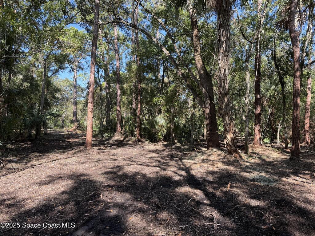 0000 Valkaria Road, Malabar, FL 32950