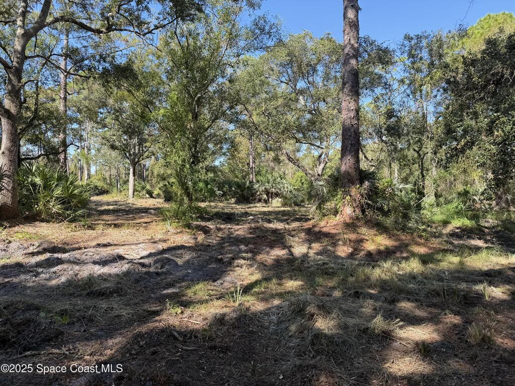 0000 Valkaria Road, Malabar, FL 32950