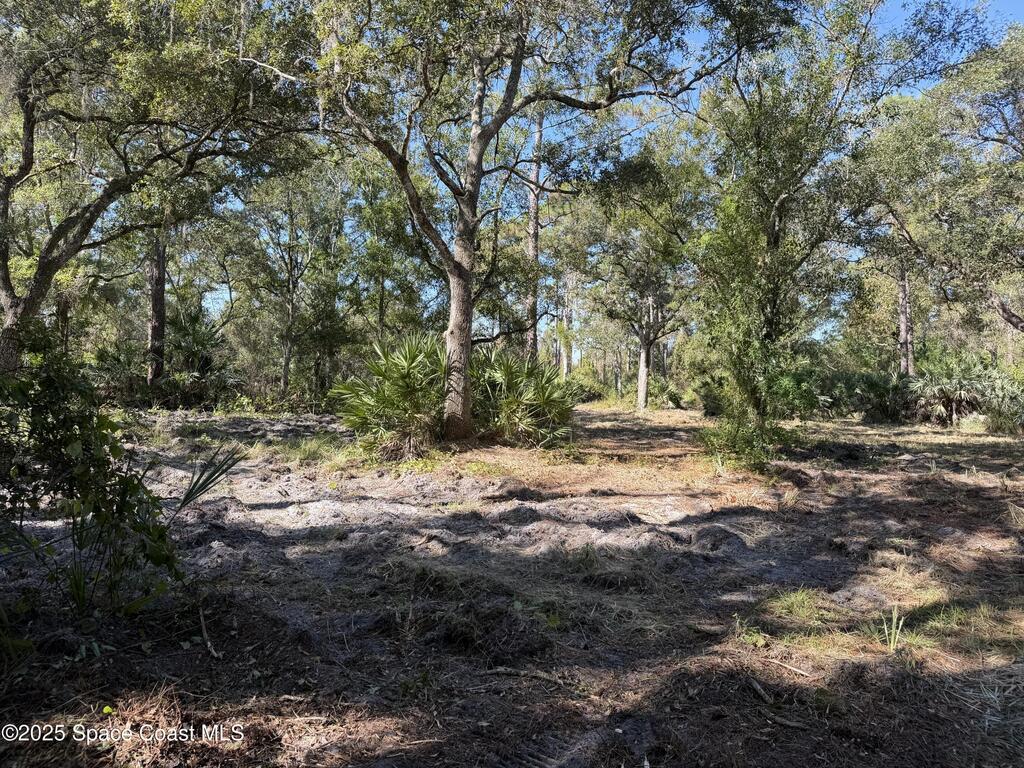 0000 Valkaria Road, Malabar, FL 32950