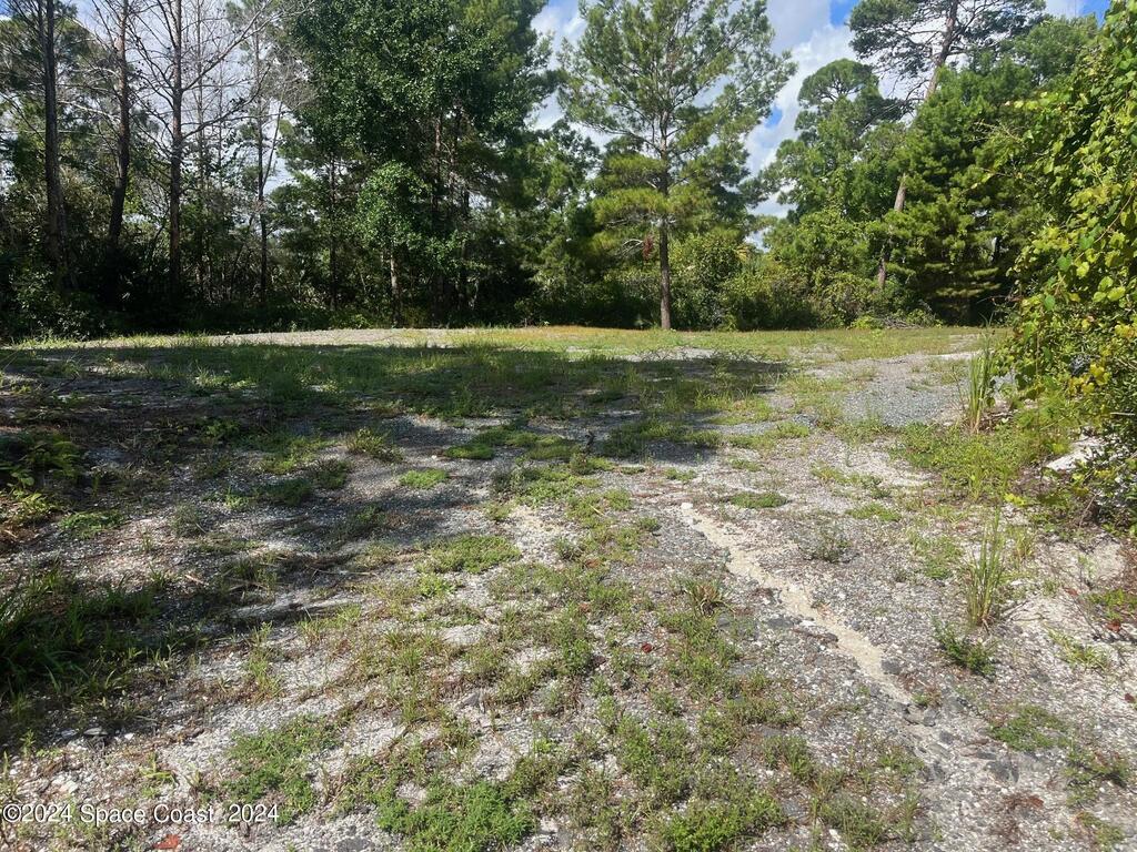 275 Paint Street, Suntree, FL 32955