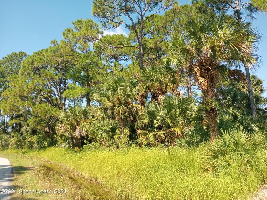 1042 Savery Road, Palm Bay, FL 32908