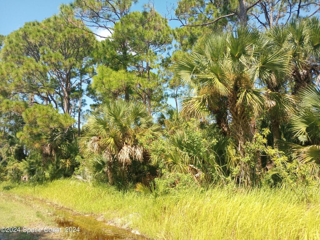 1042 Savery Road, Palm Bay, FL 32908