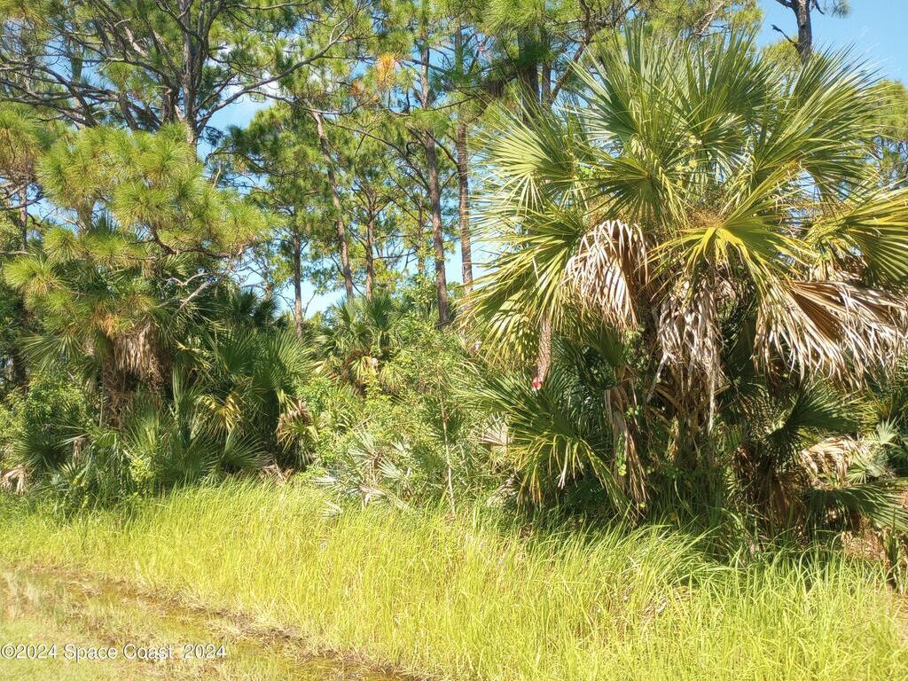 1042 Savery Road, Palm Bay, FL 32908