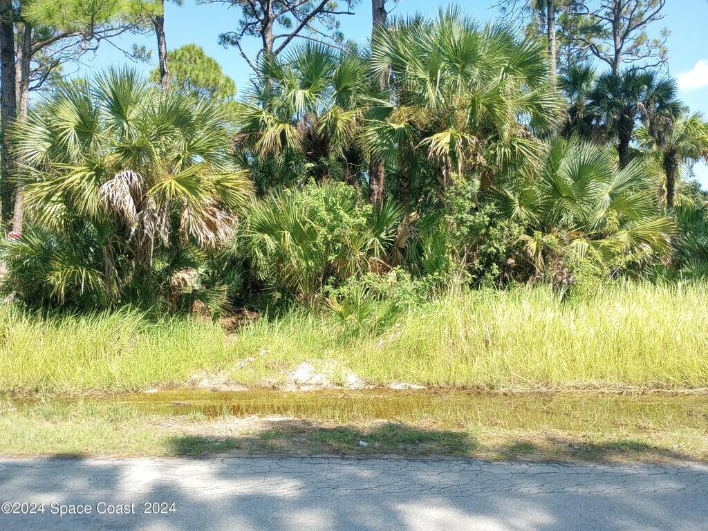 1042 Savery Road, Palm Bay, FL 32908