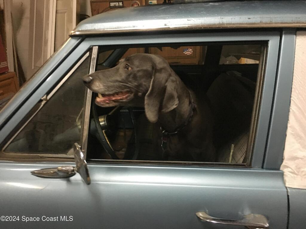 1742 Canova Street, Palm Bay, FL 32909