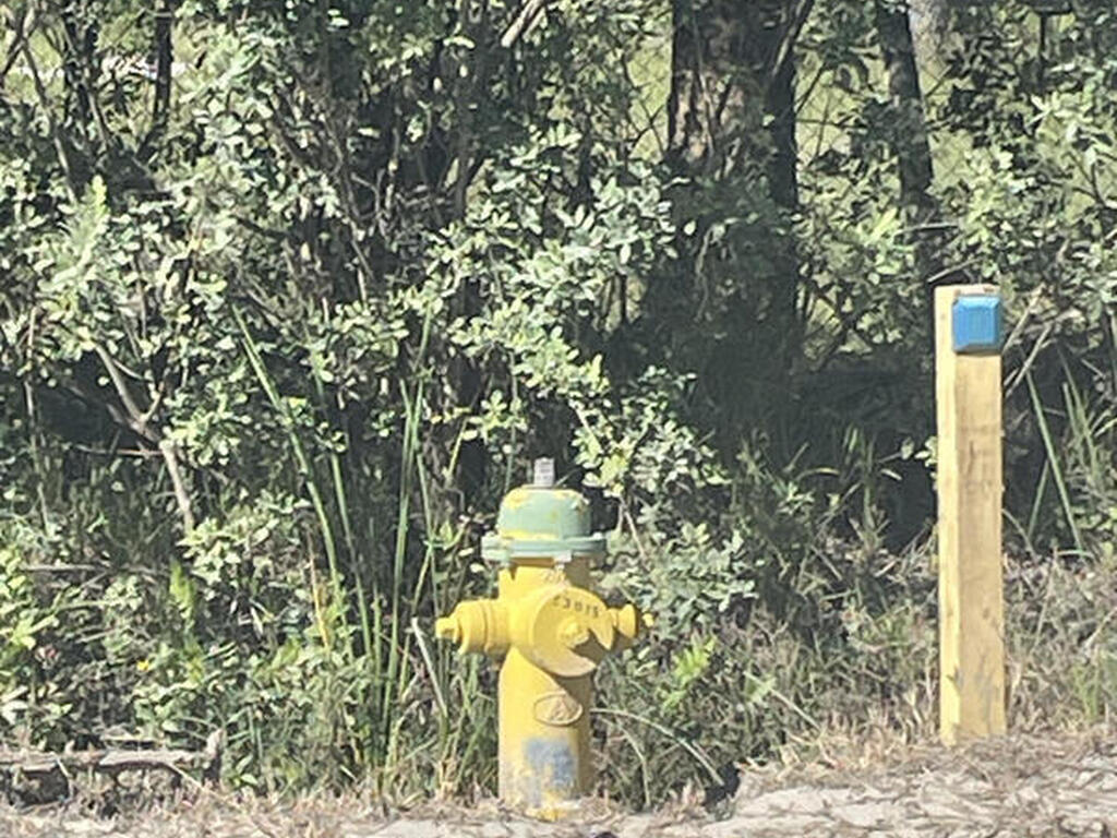 Airboat Avenue, Cocoa, FL 32926