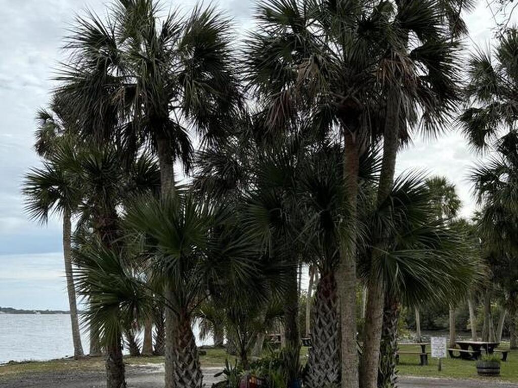 127 Plover Lane, Rockledge, FL 32955