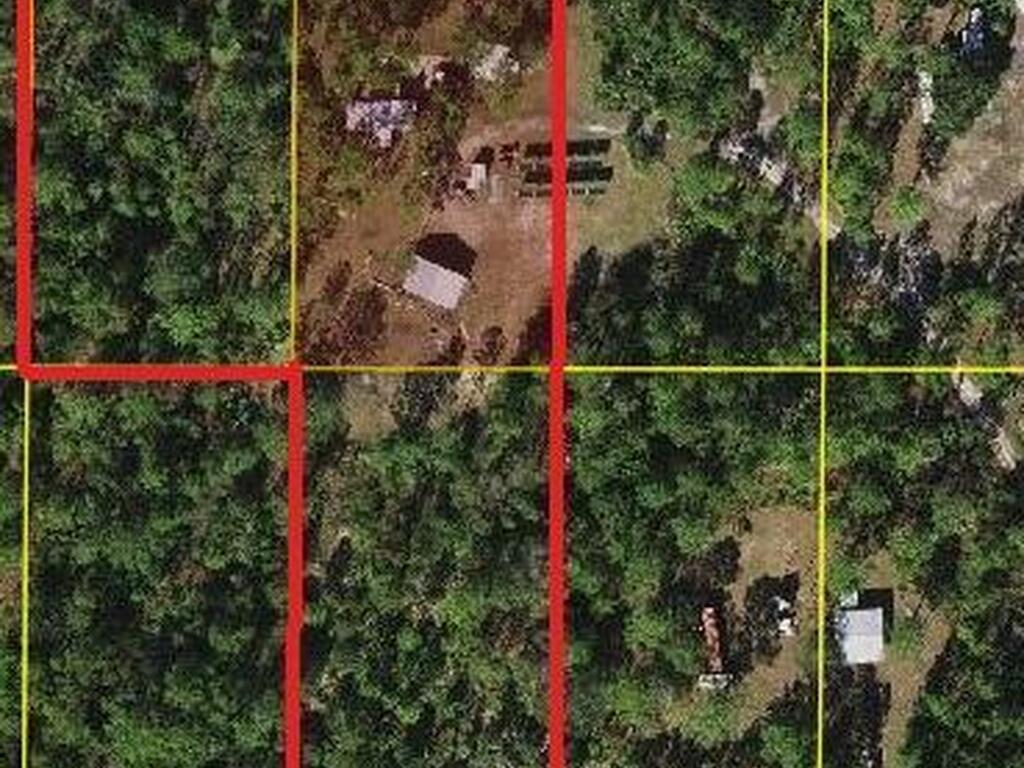 Holopaw Groves Road, St. Cloud, FL 34773