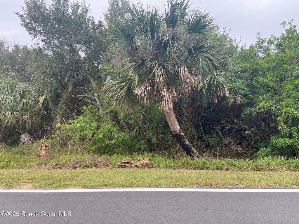Tbd Lot 5 Rocky Point Road, Malabar, FL 32950