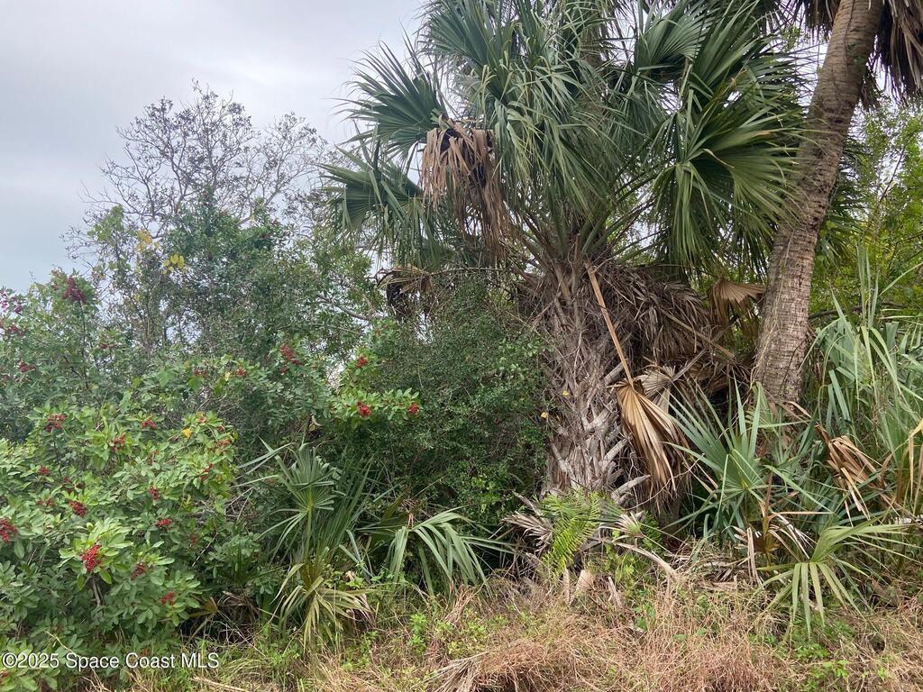 Tbd Lot 5 Rocky Point Road, Malabar, FL 32950