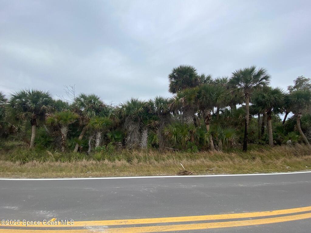 Tbd Lot 4 Rocky Point Road, Malabar, FL 32950