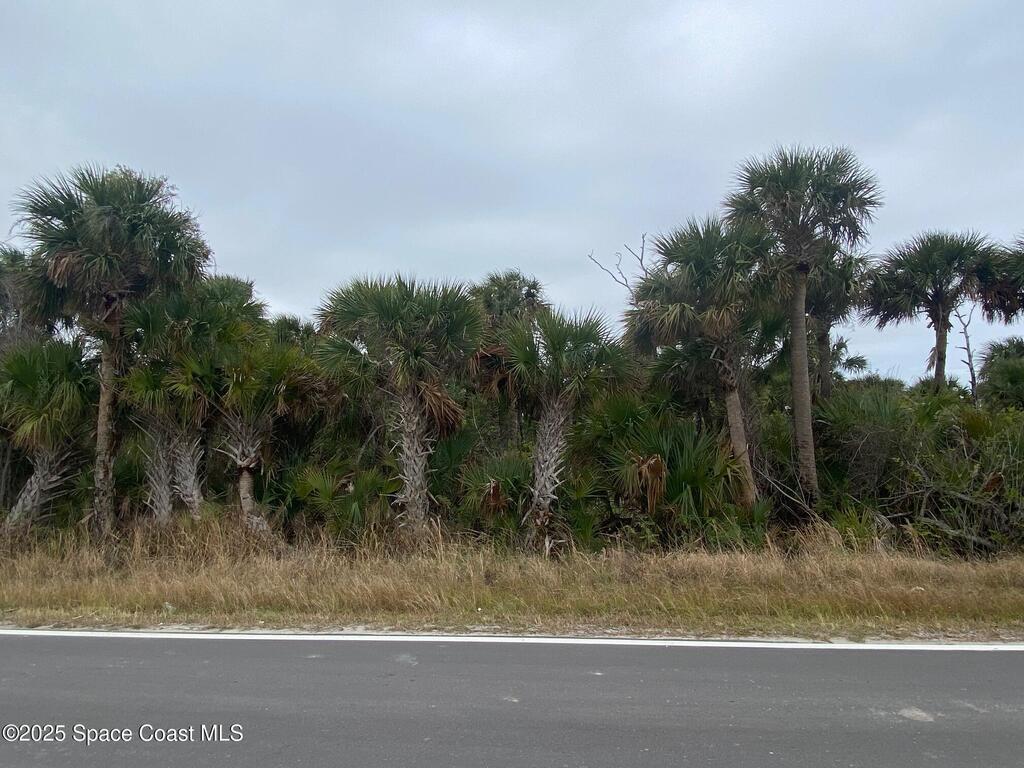 Tbd Lot 4 Rocky Point Road, Malabar, FL 32950