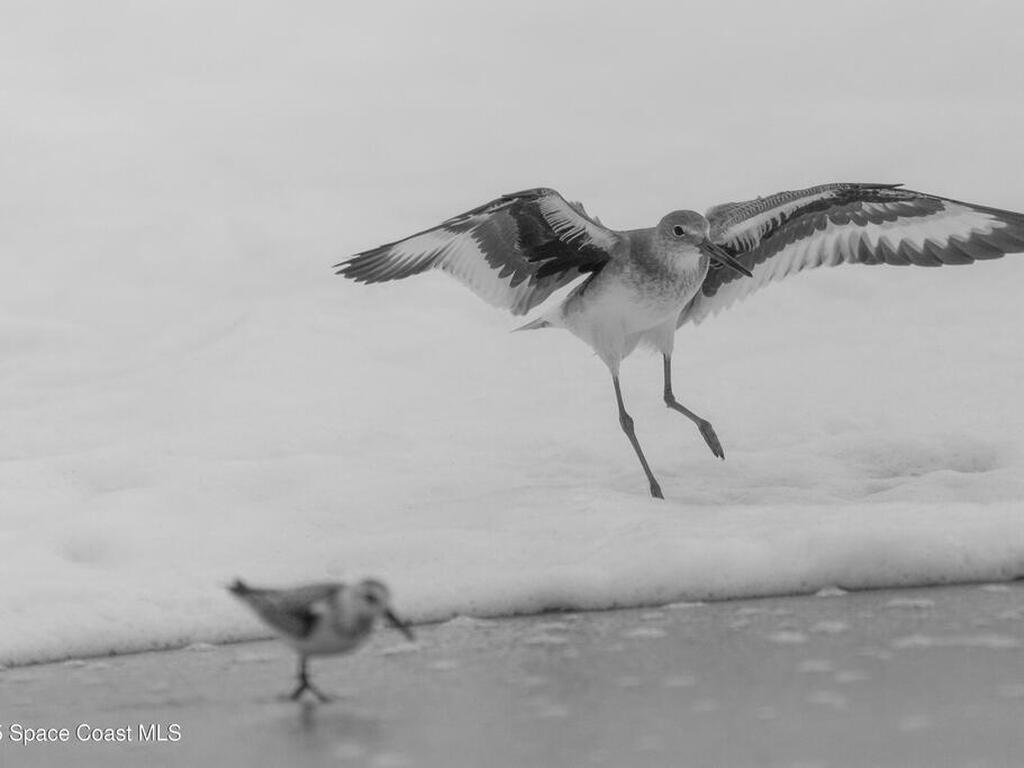 132 Mediterranean Way, Indian Harbour Beach, FL 32937