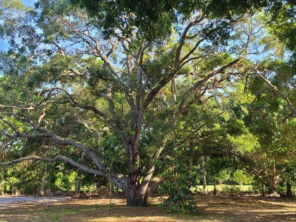 3730 S Tropical Trail, Merritt Island, FL 32952